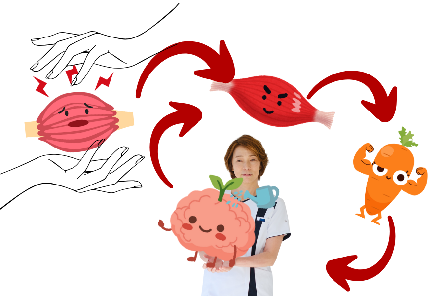 神経整体の優しく触れる施術